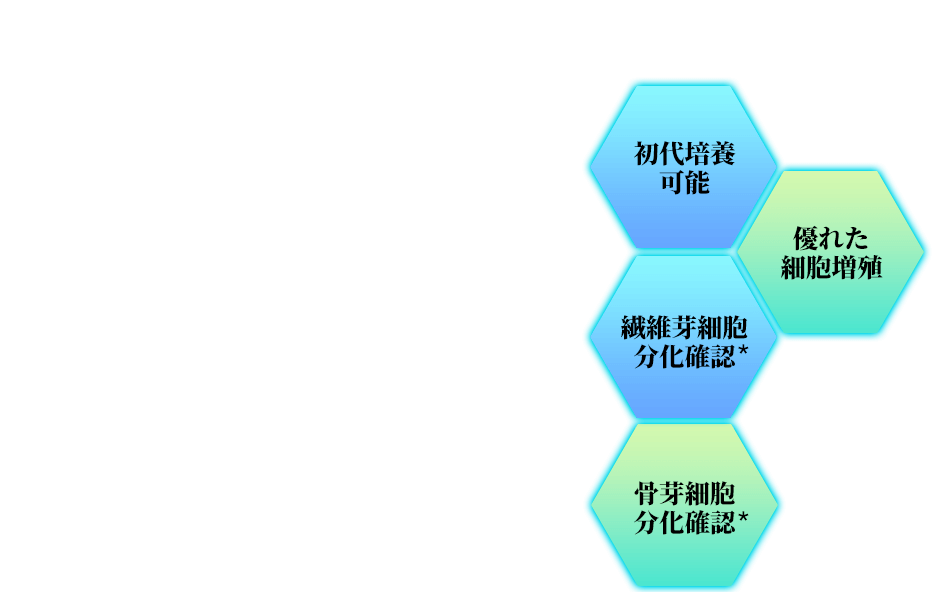 間葉系幹細胞用 無血清AOF培地の特徴