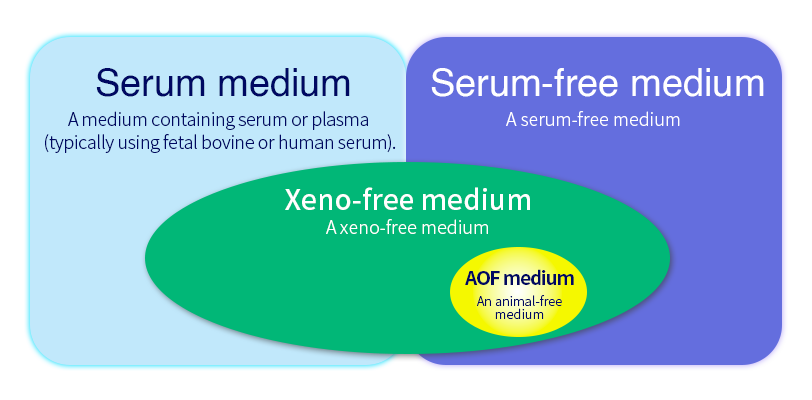 Image of stem cell culture