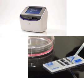 TThermo Fisher Countess II FL cell counter