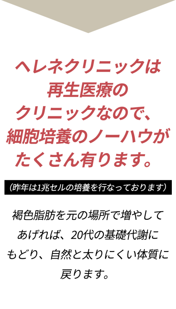 褐色脂肪で減量治療 食事制限 運動なし 注射治療 幹細胞治療 再生医療外来 表参道ヘレネクリニック Helene Clinic